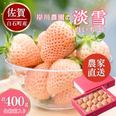 【先行予約】農家直送!化粧箱入り 白いちご「淡雪」約400g (白石町)