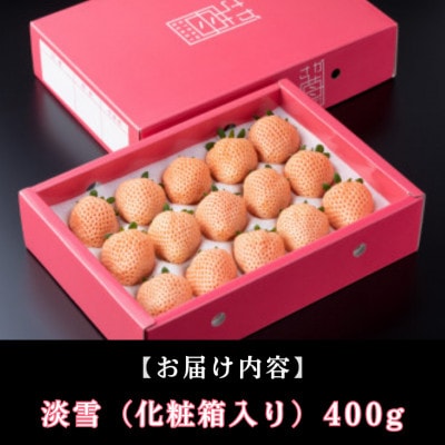 【先行予約】農家直送!化粧箱入り 白いちご「淡雪」約400g (白石町)