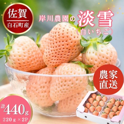 【先行予約】農家直送!白石町産 白いちご「淡雪」220g×2パック (白石町)