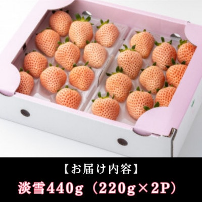 【先行予約】農家直送!白石町産 白いちご「淡雪」220g×2パック (白石町)