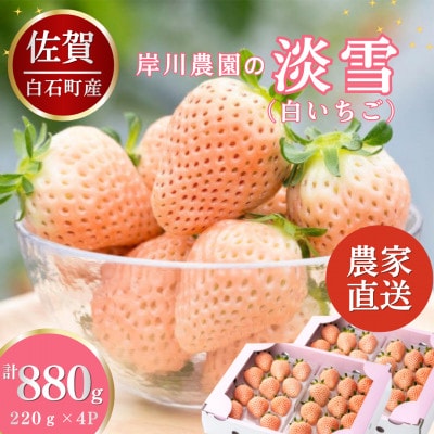 【先行予約】農家直送!白石町産 白いちご「淡雪」220g×4パック (白石町)