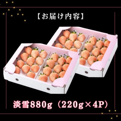 【先行予約】農家直送!白石町産 白いちご「淡雪」220g×4パック (白石町)