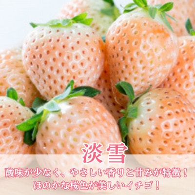 【先行予約】淡雪&さがほのか 赤白いちごセット計400g(200g×2パック)化粧箱入り (白石町)