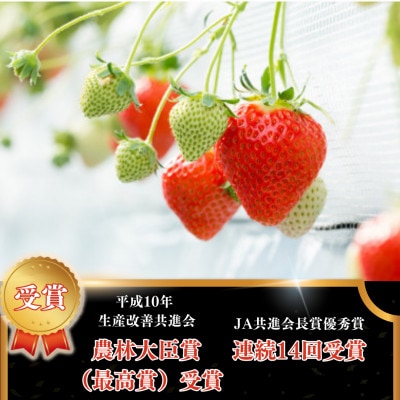 【先行予約】農家直送!淡雪&さがほのか 赤白いちごセット 各220g (白石町)