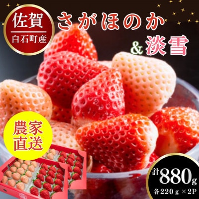 【先行予約】淡雪&さがほのか 赤白いちご 豪華食べ比べセット 220g×各2パック (白石町)