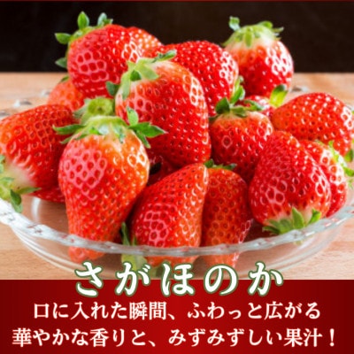【先行予約】淡雪&さがほのか 赤白いちご 豪華食べ比べセット 220g×各2パック (白石町)