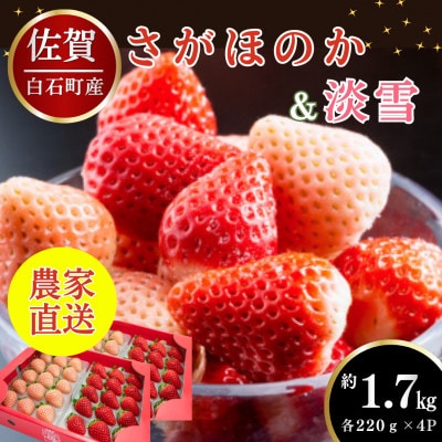 【先行予約】淡雪&さがほのか 紅白いちごセット 約1.7kg (220g×各4パック) (白石町)
