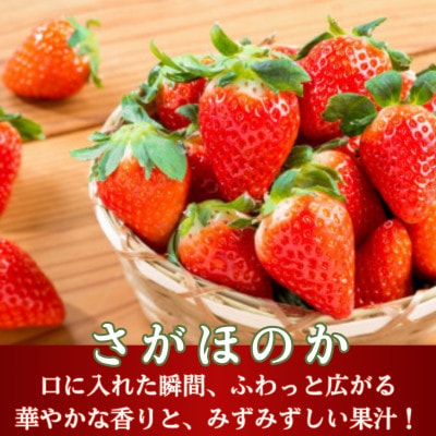 【先行予約】淡雪&さがほのか 紅白いちごセット 約1.7kg (220g×各4パック) (白石町)