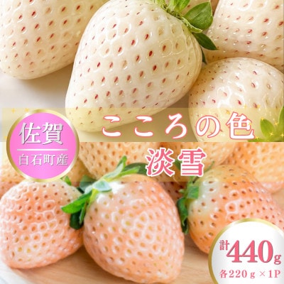 【先行予約】淡雪・こころの色 白いちごプレミアム 計440g (220g×各1パック) (白石町)