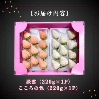 【先行予約】淡雪・こころの色 白いちごプレミアム 計440g (220g×各1パック) (白石町)