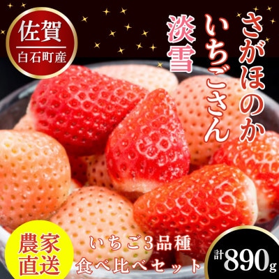 【先行予約】白石町産 淡雪&さがほのか&いちごさん 3品種 食べ比べセット 計890g (白石町)