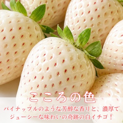 【先行予約】1パックに3色いちご(こころの色・さがほのか・淡雪)220g×1パック (白石町)