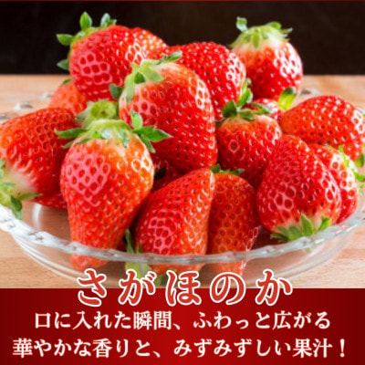 【先行予約】1パックに3色いちご(こころの色・さがほのか・淡雪)220g×1パック (白石町)