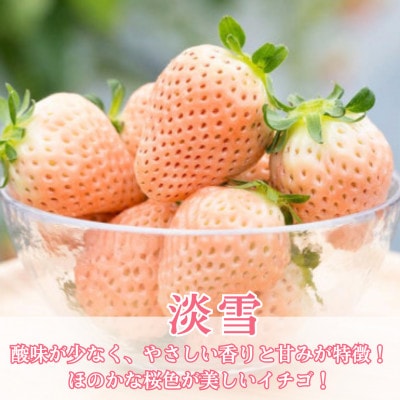 【先行予約】1パックに3色いちご(こころの色・さがほのか・淡雪)220g×1パック (白石町)