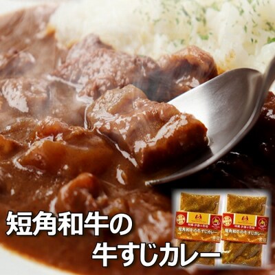 【年内配送可】★短角和牛の牛すじカレー4P A-43018