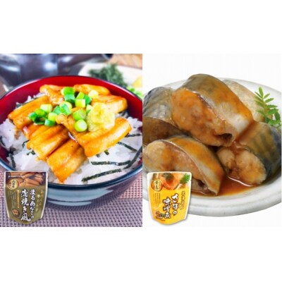 【年内配送可】あなご蒲焼き風&さばの味噌煮セット A-09104