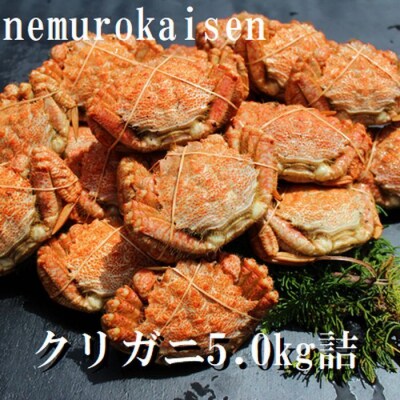 【年内配送可】★クリガニ200～250g×20～25尾(計5.0kg) D-57031