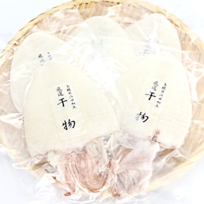 白いか一夜干しセット