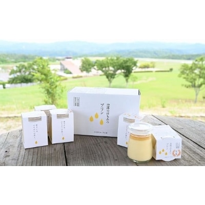 空港のはちみつプリン6個セット