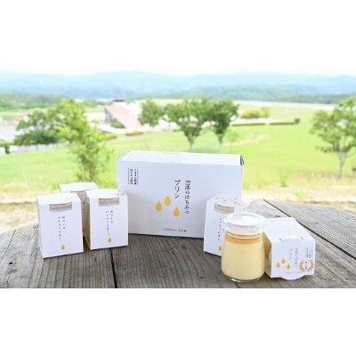 空港のはちみつプリン6個セット