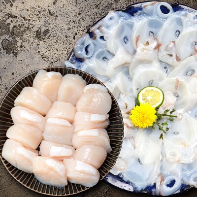 【年内配送可】たこしゃぶ250g×4P・ほたて500g B-24013