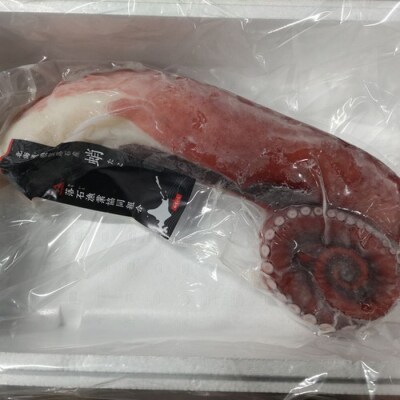 【年内配送可】★刺身用真だこ足800g～1.2kg前後×1本 A-57059
