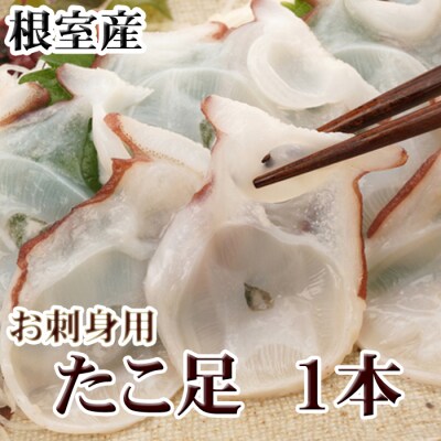 【年内配送可】★たこ足500g前後～800g前後×1本 G-30008