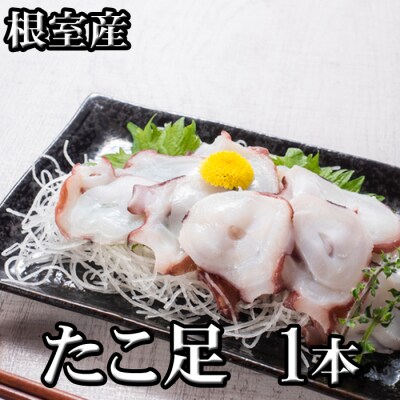 【年内配送可】★たこ足500g前後～800g前後×1本 G-70008