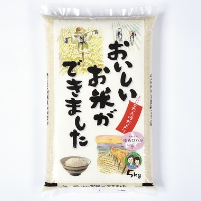 北海道名寄市産　ゆめぴりか5kg・ななつぼし5kg　お米食べ比べセット