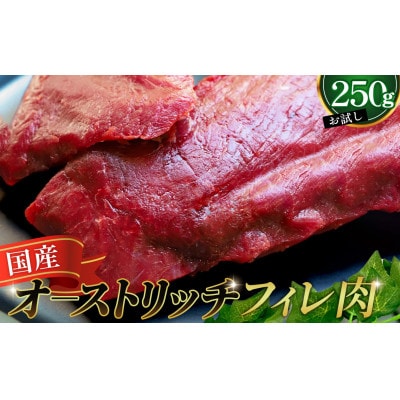 国産オーストリッチお試しフィレ肉　250g ◆ダチョウ肉