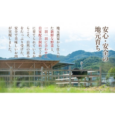 国産オーストリッチフィレ肉　700g◆ダチョウ肉