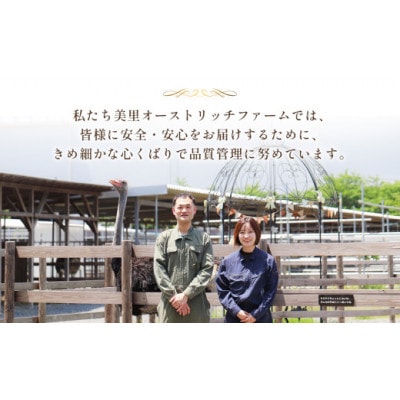 国産オーストリッチフィレ肉　700g◆ダチョウ肉