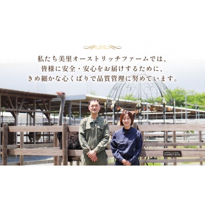 国産オーストリッチ外モモ肉　700g◆ダチョウ肉