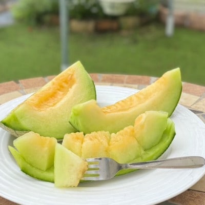 【令和8年産先行予約】美里町産「タカミメロン」1箱(5kg入)