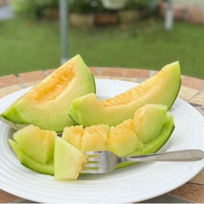 【令和8年産先行予約】美里町産「タカミメロン」1箱(3kg入)