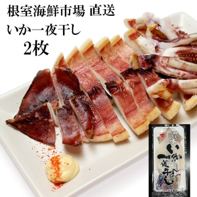 【年内配送可】【北海道産】いか一夜干し2枚 G-14079