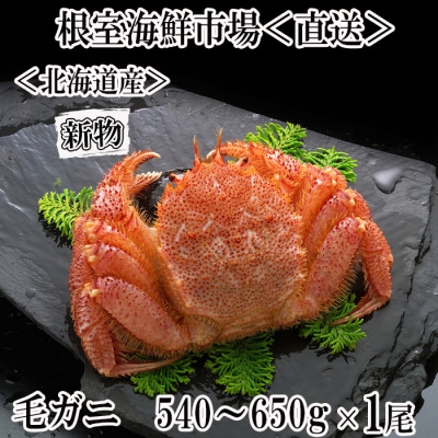 【年内配送可】ボイル毛がに540〜650g×1尾 B-14123