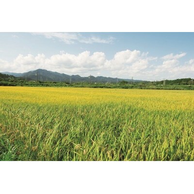 楢葉う米天のつぶ(精米)2kg×2袋