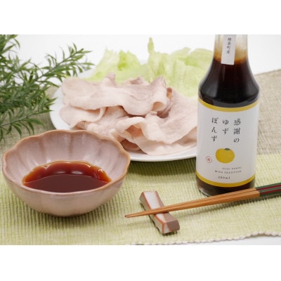 感謝のゆずぽんず1本・感謝のゆずドレッシング2本(3本セット)