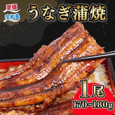 うなぎ蒲焼 1尾 河野鮮魚店 D015-177002