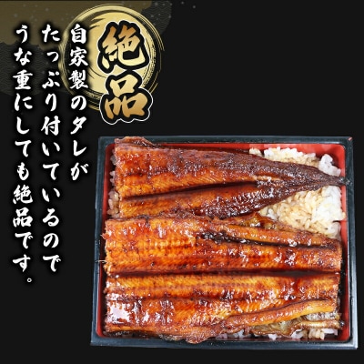 うなぎ蒲焼 1尾 河野鮮魚店 D015-177002