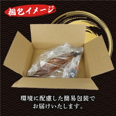 うなぎ蒲焼 1尾 河野鮮魚店 D015-177002