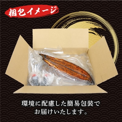 うなぎ蒲焼 2尾 河野鮮魚店 D025-177003