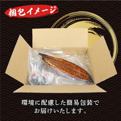 うなぎ蒲焼 2尾 河野鮮魚店 D024-177003