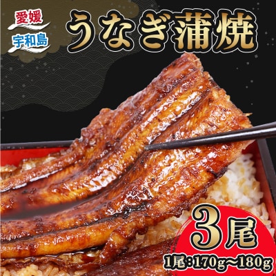 うなぎ蒲焼 3尾 河野鮮魚店 D032-177004
