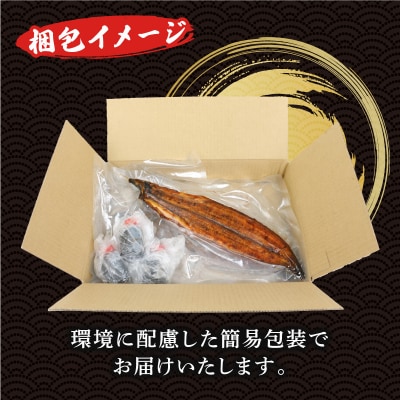 うなぎ蒲焼 3尾 河野鮮魚店 D038-177004