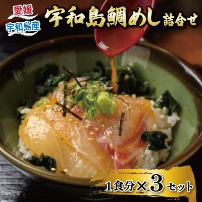 宇和島鯛めし詰合せ 3セット 家庭用 辻水産 D010-062006
