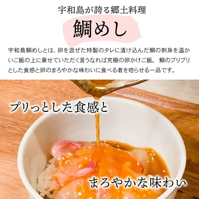 宇和島の鯛めし 3食 安岡蒲鉾 D012-020003