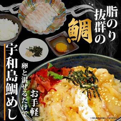 みかん愛たい 宇和島鯛めし 南予ビージョイ D010-150004