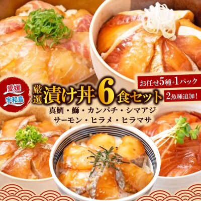 養殖 漬け丼 全7種 ランダム 6食 南予ビージョイ D010-150005